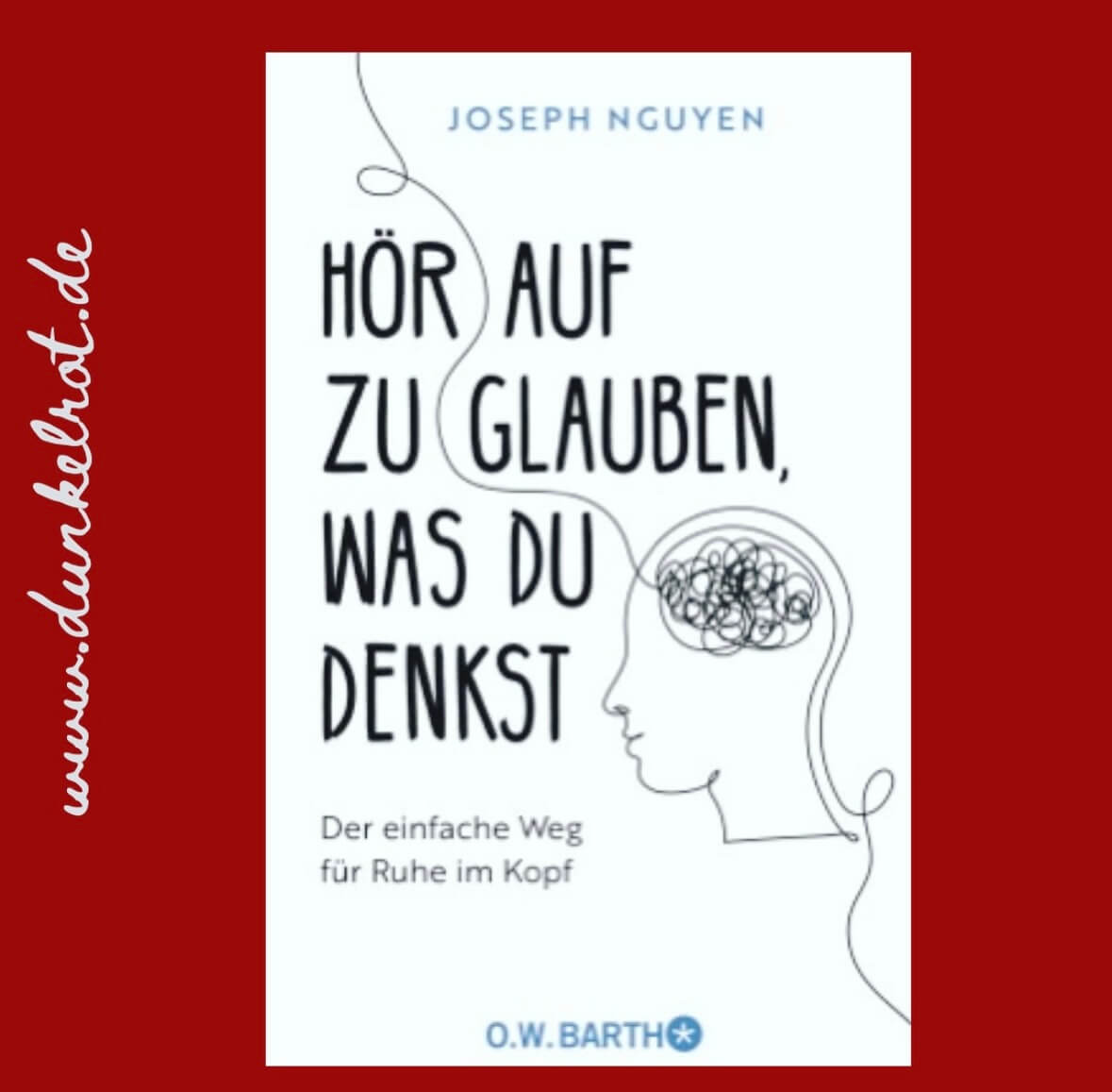 Hör auf zu glauben, was du denkst von Joseph Nguyen, Rezension auf dunkelrot.de