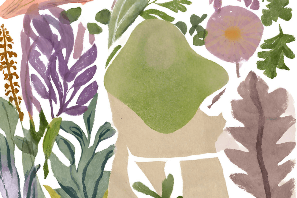 Aquarell-Illustration mit Garten- und Kräutermotiven auf dunkelrot.de: Blätter, Blüten, Wurzelgemüse und eine stilisierte grün-beige Figur