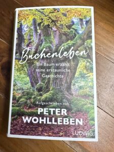 Dunkelrot Rezi Buchenleben. Das Cover zeigt eine alte knorrige Buche.