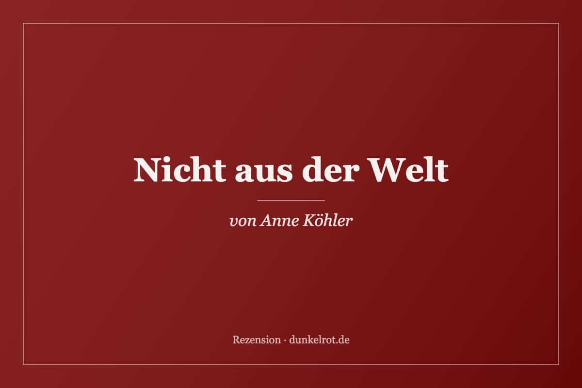 Titelbild zur Rezension: Nicht aus der Welt von Anne Köhler auf dunkelrot.de