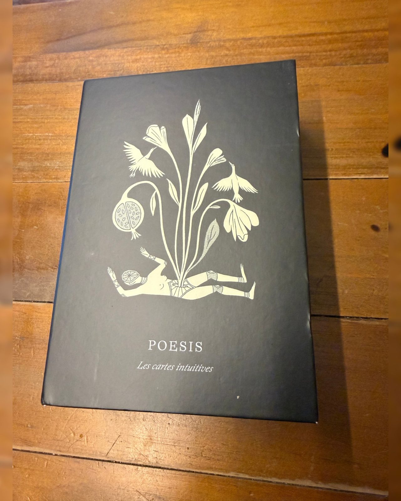 POESIS Les cartes intuitives Rezension: Kartenset von Andrea Wan