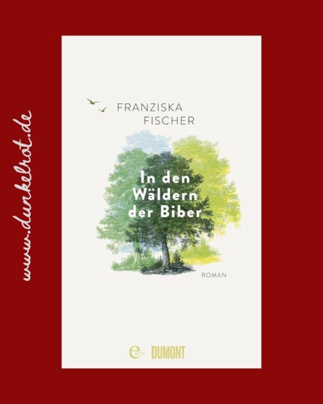 rezension in den waeldern der biber cover 1