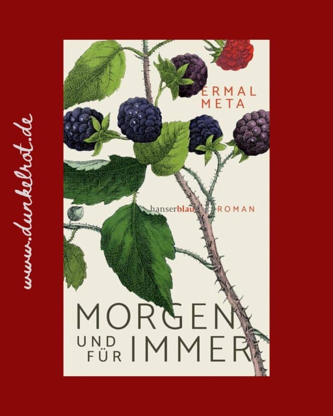 rezension morgen und fuer immer cover 1