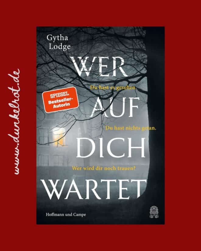 rezension wer auf dich wartet cover 1