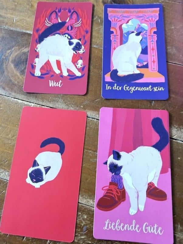 Zwei Orakelkarten aus „Die Katze des Dalai Lama Weisheitsorakel" von David Michie