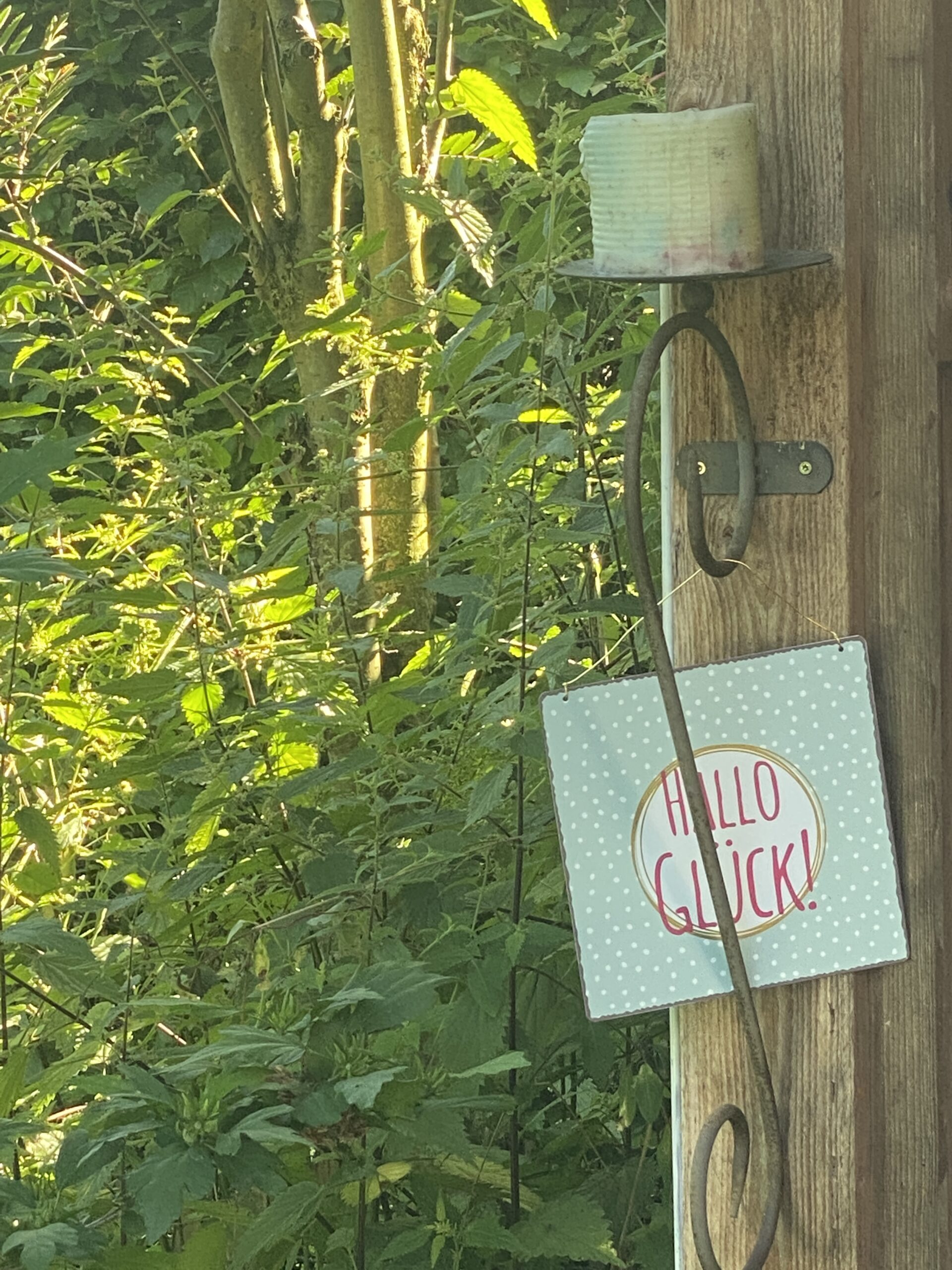 Warum ein Garten glücklich macht: Über Pflanzen, Scheitern, Jahreszeiten und das gute Leben draußen 8 Schild mit der Aufschrift „Hallo Glück!“ hängt an einem Gartenzaun zwischen grünen Pflanzen