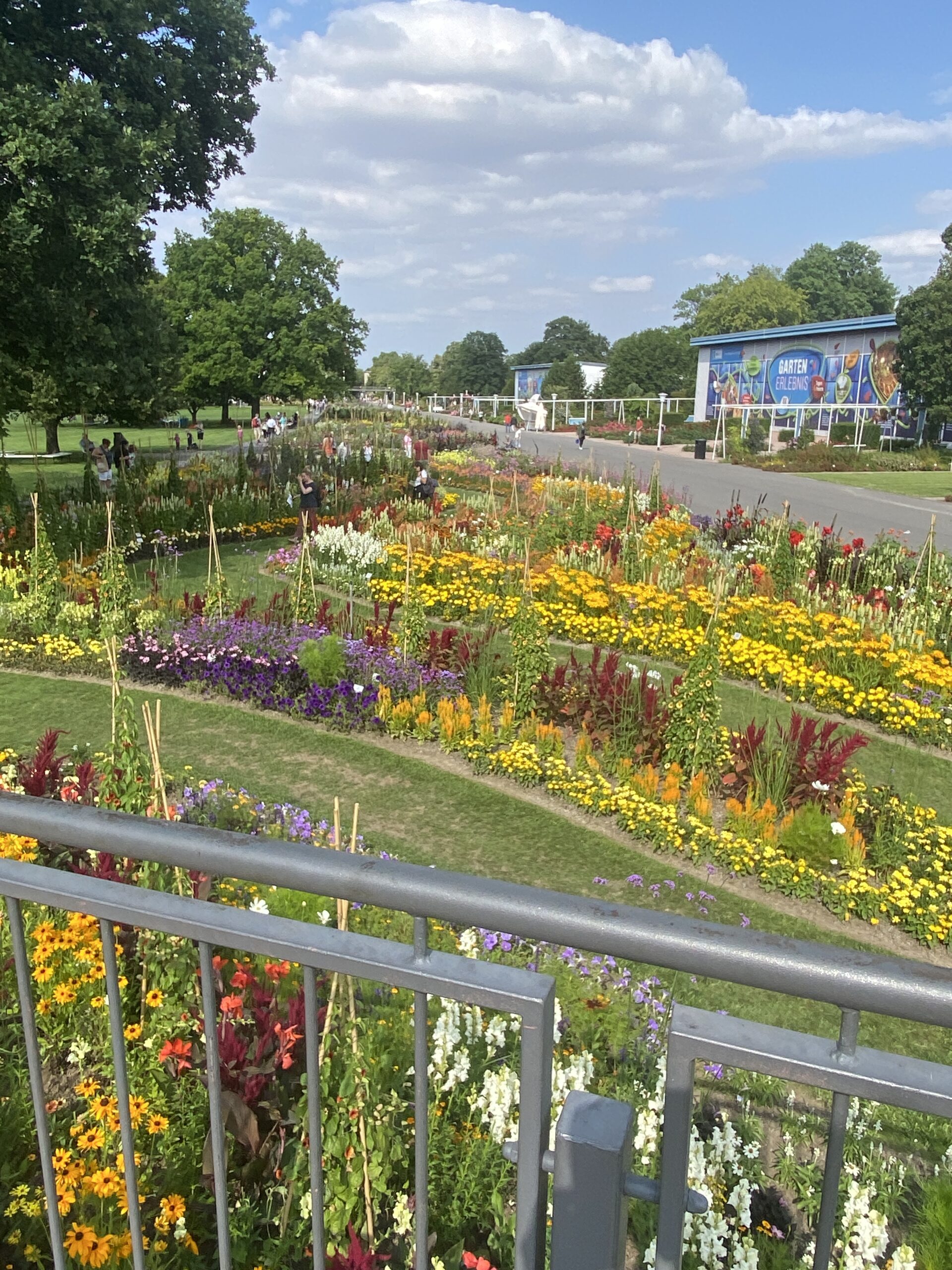 Warum ein Garten glücklich macht: Über Pflanzen, Scheitern, Jahreszeiten und das gute Leben draußen 6 Bunte, üppig blühende Blumenbeete in einem Sommergarten