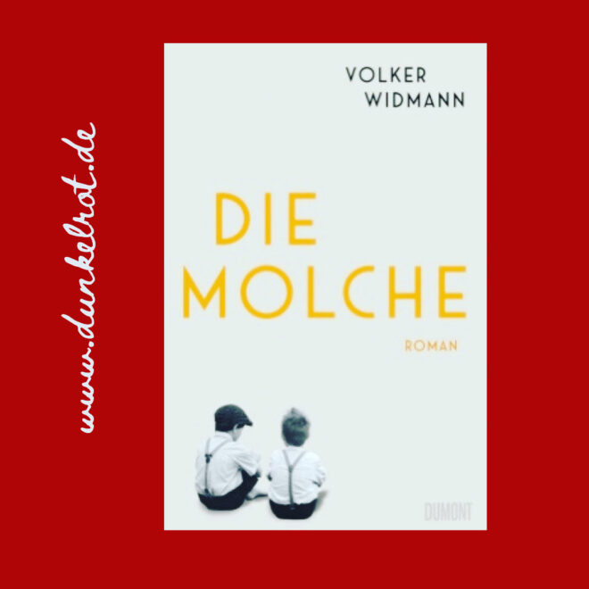 Cover Die Molche. 2 Kinder sitzend, weißer Einband mit gelb-schwarzer Schrift.